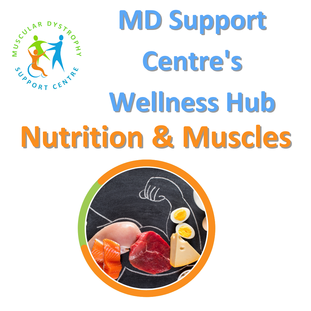 Wellness hub - Nutrition and Muscles